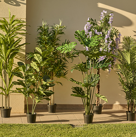 Jardines y plantas